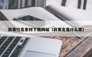 潍坊寂寞行走素材下载网站（寂寞走是什么歌）